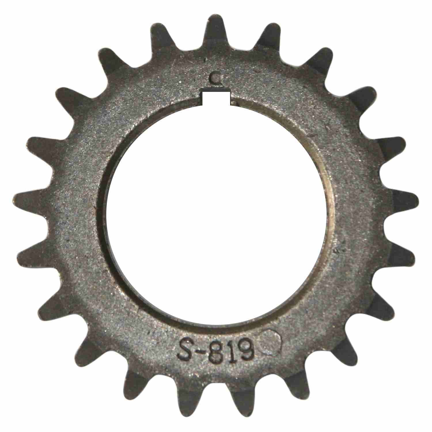 INA US Engine Timing Chain ZC0209