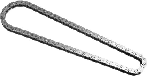 INA US Engine Oil Pump Chain ZC0245