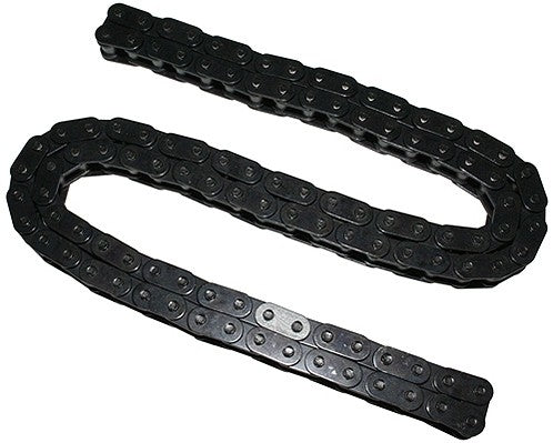 INA US Engine Timing Chain ZC02491