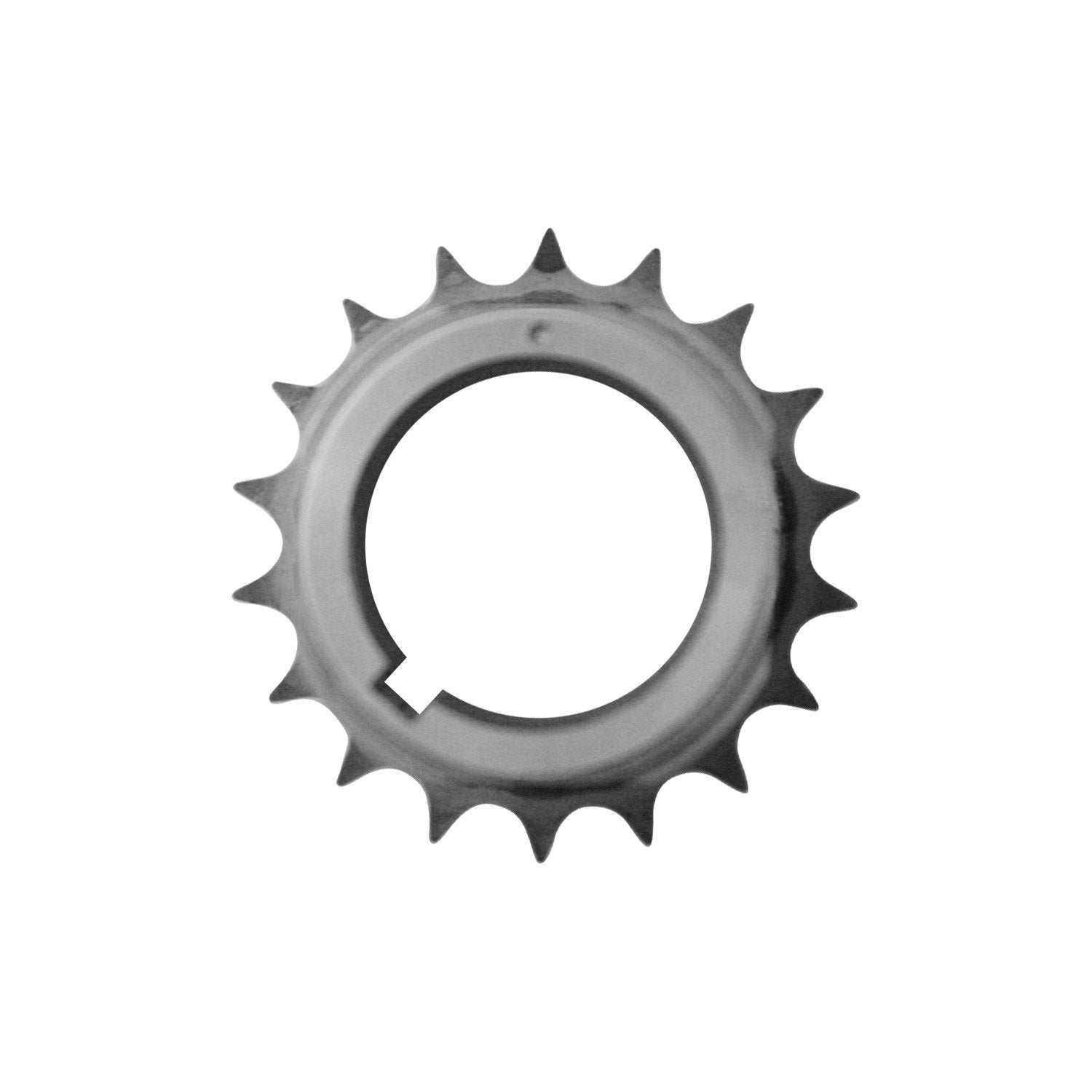 INA US Engine Oil Pump Chain ZC0287