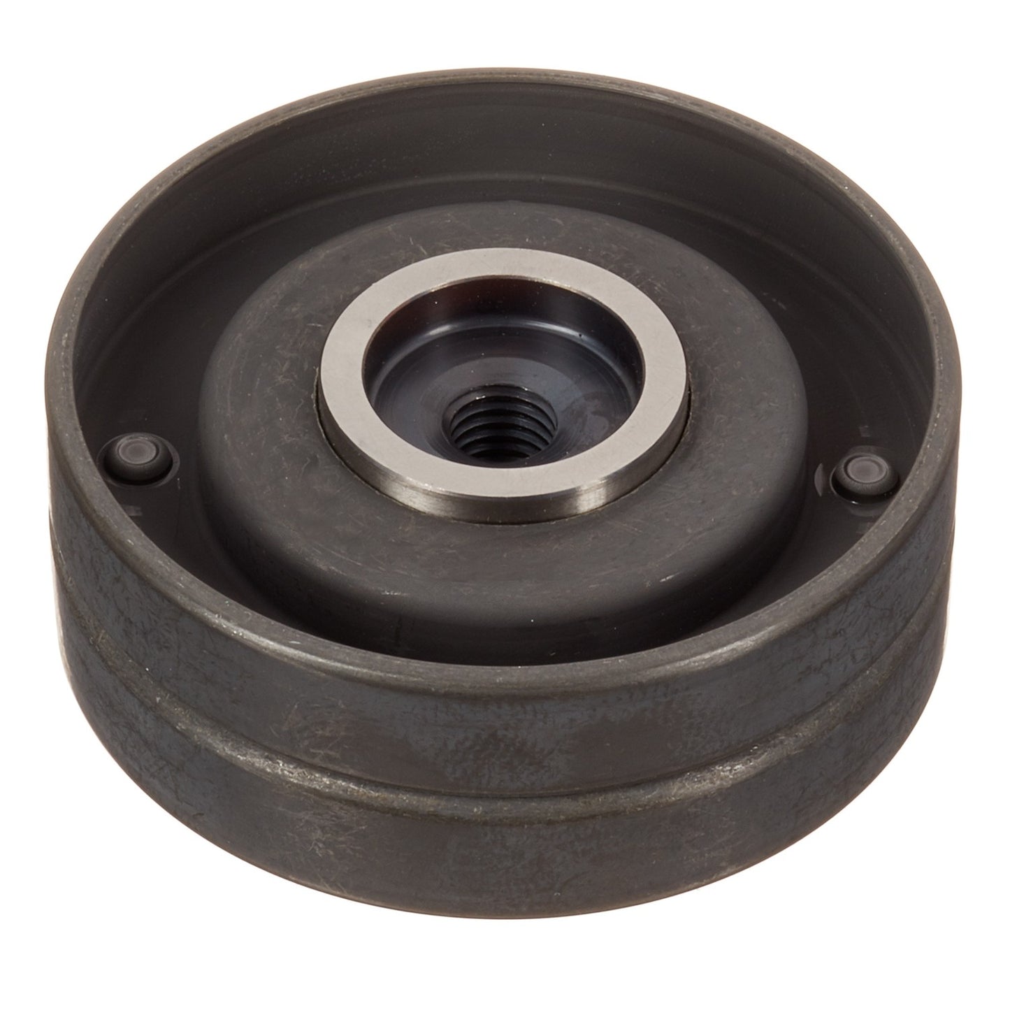 INA US Engine Timing Belt Idler ZP00511