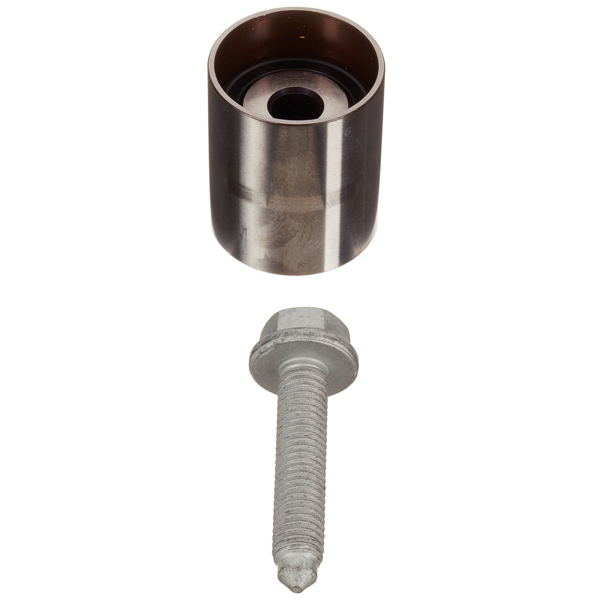 INA US Engine Timing Belt Idler ZP01971