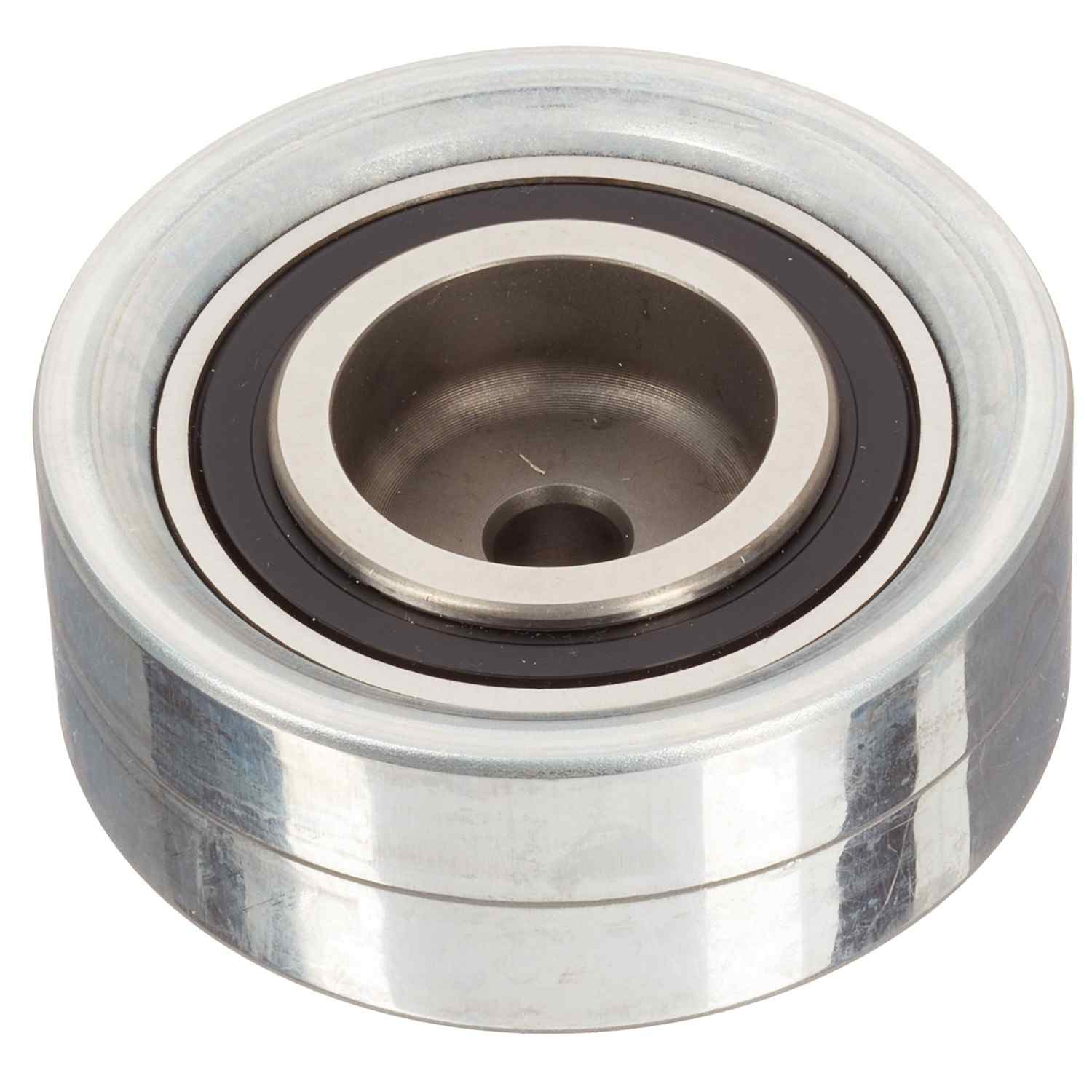 INA US Engine Timing Belt Idler ZP05821