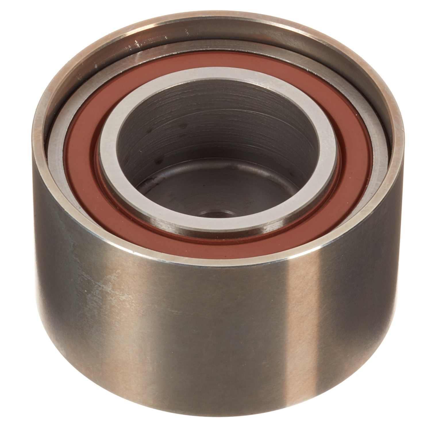 INA US Engine Timing Idler ZP05861