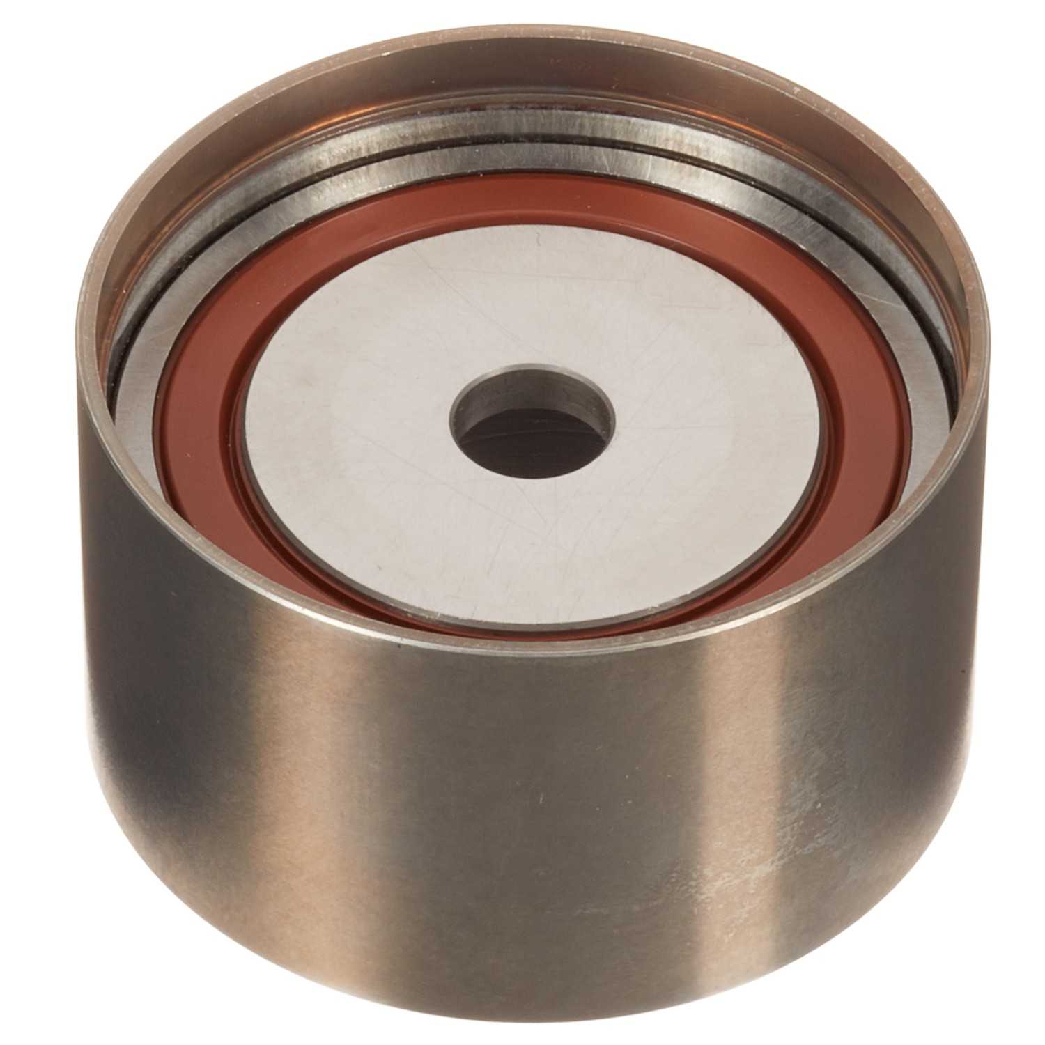 INA US Engine Timing Idler ZP05861