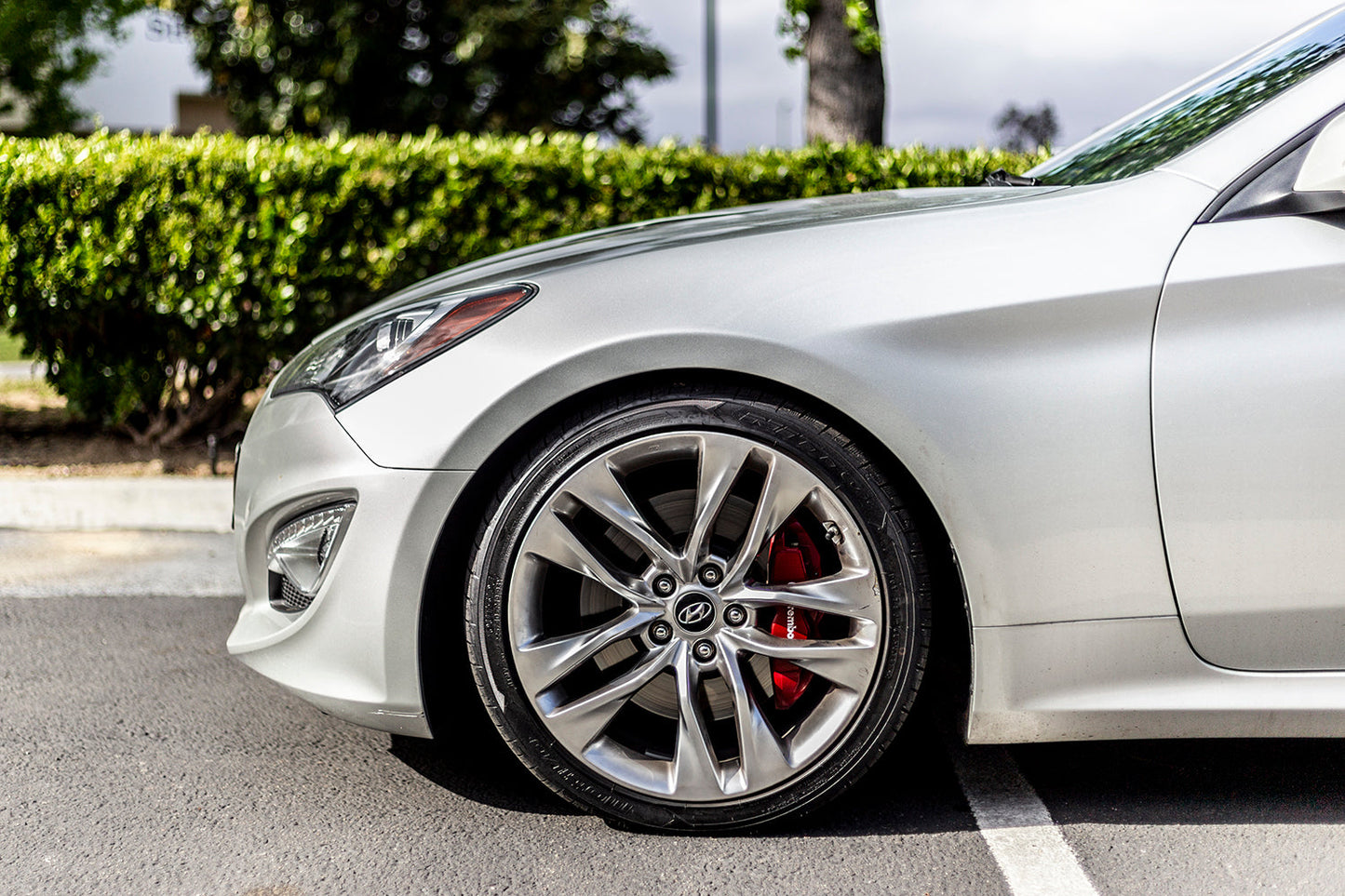 ARK 2010-2016 Hyundai Genesis Coupe GT-S Lowering Springs