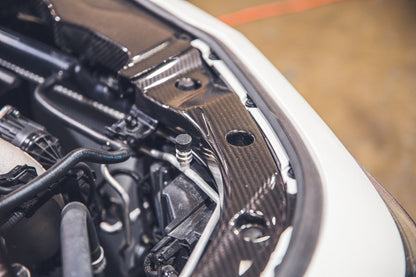 APR Acura Integra Type S And A Spec DE5 Carbon Fiber Radiator Cooling Plates 2023 - Current