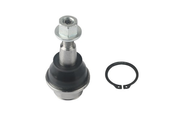 Suspensia X07BJ0572