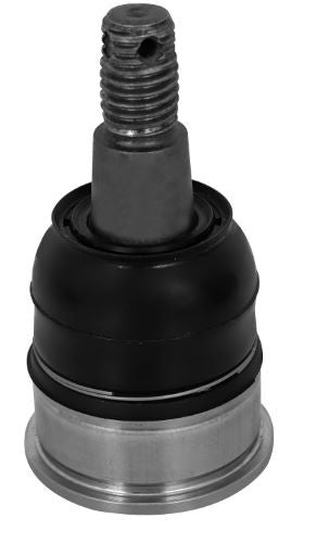 Suspensia X17BJ7174