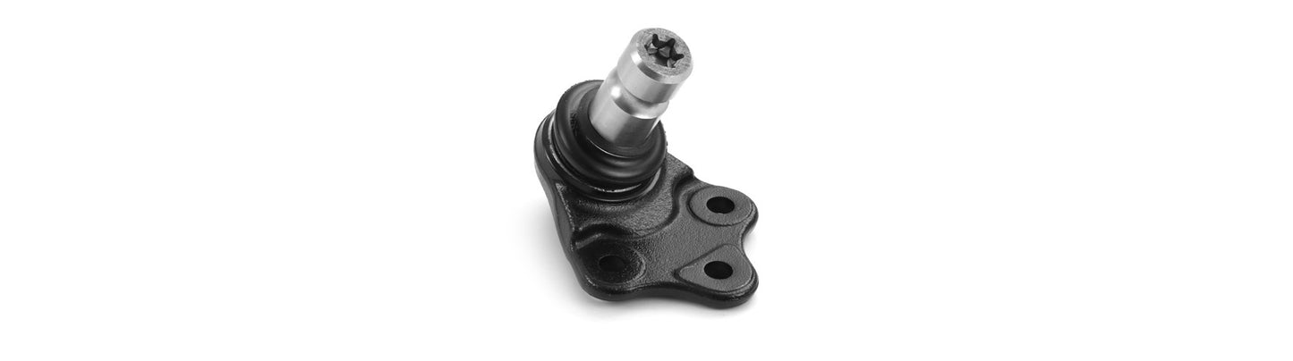 Suspensia X21BJ0543