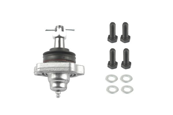 Suspensia X36BJ0586