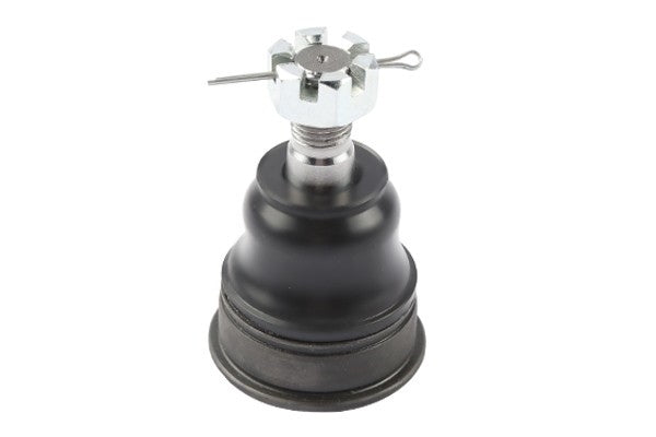 Suspensia X36BJ7761