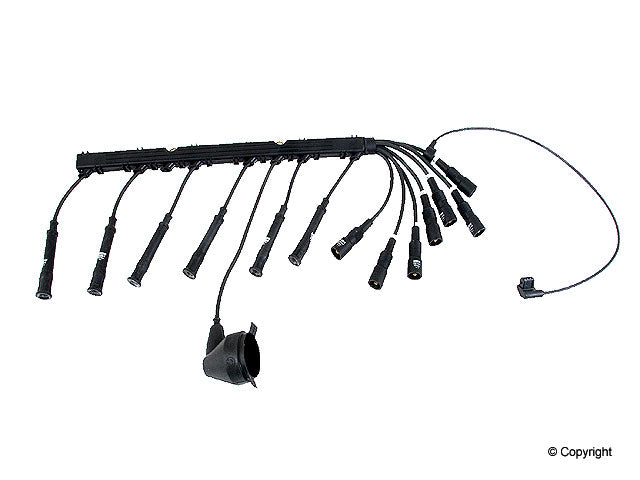 Karlyn Spark Plug Wire Set
