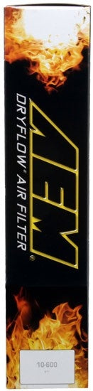 AEM Induction DryFlow Air Filter AIPAE-10650