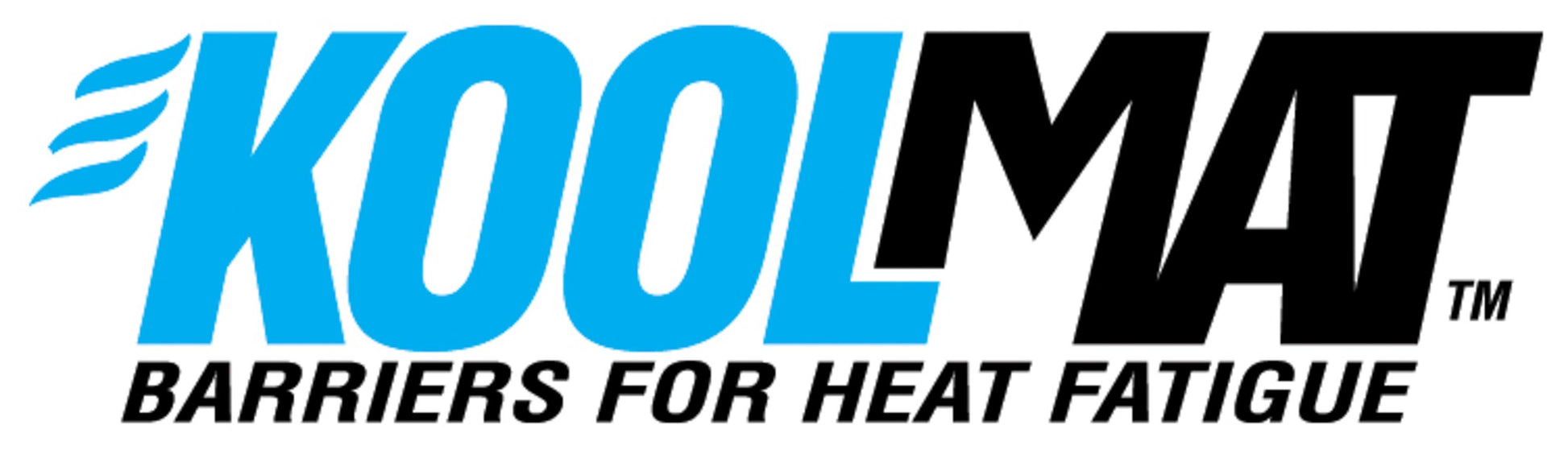 KOOL MAT Kool Mat Catalog 2010 ACRX COMP COUPE Books Videos and Software Books main image
