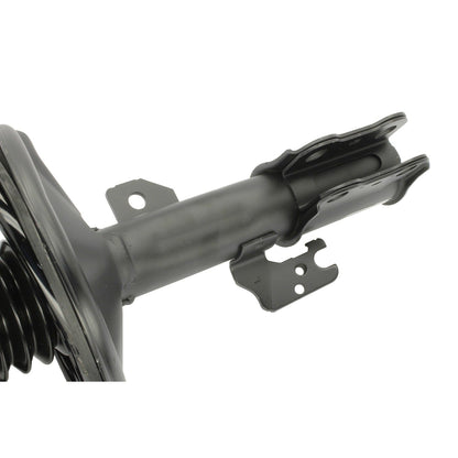 KYB Suspension Strut and Coil Spring Assembly