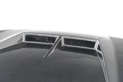 ARK 2018-2023 Kia Stinger Legato V2 Hood