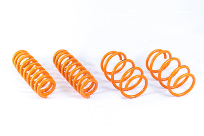 ARK 2012-2019 BMW 3 Series | 4 Series GT-F Lowering Springs