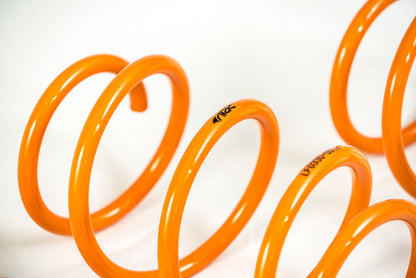 ARK 2012-2019 BMW 3 Series | 4 Series GT-F Lowering Springs