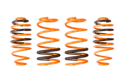 ARK 2005-2007 Chevrolet Cobalt GT-F Lowering Springs (Clearance Item)