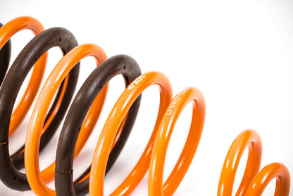 ARK 2005-2007 Chevrolet Cobalt GT-F Lowering Springs (Clearance Item)