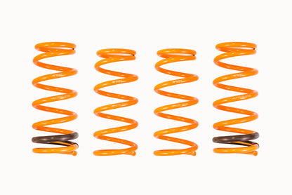 ARK 2000-2009 Honda S2000 GT-F Lowering Springs (Overstock Item)