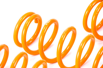 ARK 2000-2009 Honda S2000 GT-F Lowering Springs