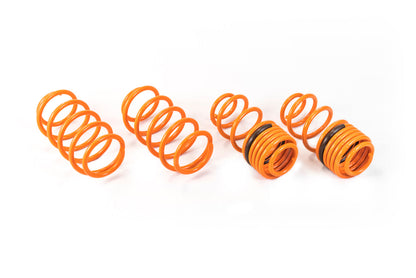 ARK 2011-2016 Honda CRZ GT-F Lowering Springs (Clearance Item)