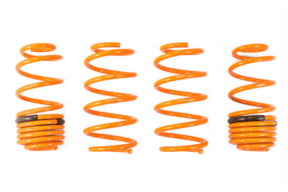 ARK 2009-2014 Honda Fit GT-F Lowering Springs (Overstock Item)