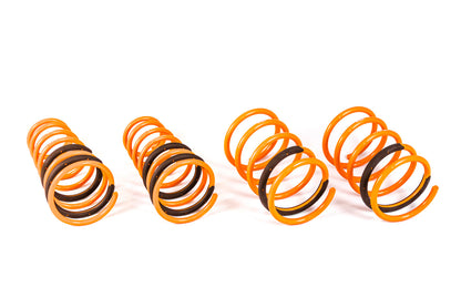 ARK 2003-2008 Hyundai Tiburon GT-F Lowering Springs (Clearance Item)