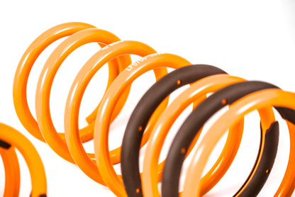ARK 2003-2008 Hyundai Tiburon GT-F Lowering Springs (Clearance Item)
