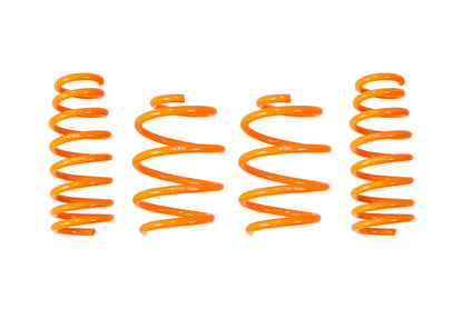 ARK 2010-2016 Hyundai Genesis Coupe GT-F Lowering Springs