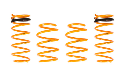 ARK 2012-2018 Hyundai Veloster GT-F Lowering Springs