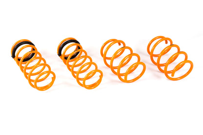 ARK 2012-2018 Hyundai Veloster GT-F Lowering Springs