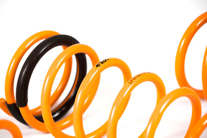 ARK 2012-2018 Hyundai Veloster GT-F Lowering Springs