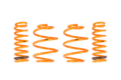 ARK 2011-2014 Hyundai Sonata GT-F Lowering Springs