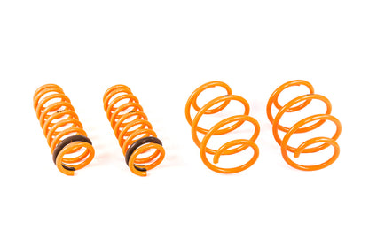 ARK 2011-2014 Hyundai Sonata GT-F Lowering Springs