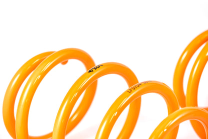 ARK 2015-2019 Hyundai Sonata GT-F Lowering Springs