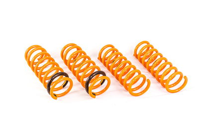 ARK 2015-2016 Hyundai Genesis Sedan GT-F Lowering Springs
