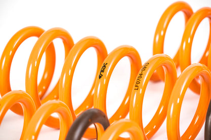 ARK 2015-2016 Hyundai Genesis Sedan GT-F Lowering Springs