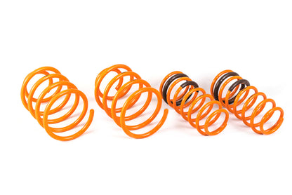 ARK 2010-2013 Kia Forte Koup | Hatch | Sedan GT-F Lowering Springs (Clearance Item)