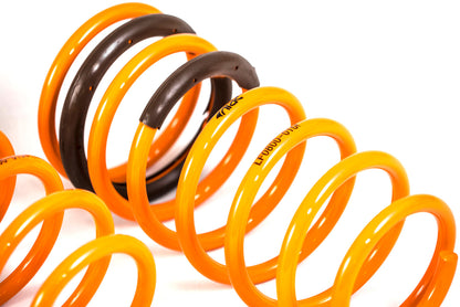 ARK 2010-2013 Kia Forte Koup | Hatch | Sedan GT-F Lowering Springs (Clearance Item)