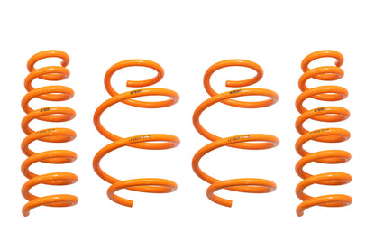 ARK Kia Stinger 3.3T | Genesis G70 3.3T GT-F Lowering Springs