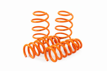 ARK 2022+ Kia EV6 AWD / Hyundai IONIQ 5 AWD GT-F Lowering Springs