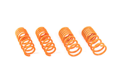 ARK 2003-2008 Nissan 350Z GT-F Lowering Springs