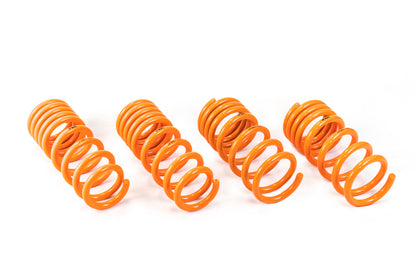 ARK 2009-2020 Nissan 370Z GT-F Lowering Springs