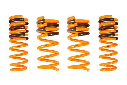 ARK 2008-2013 Infiniti G37 Coupe RWD GT-F Lowering Springs