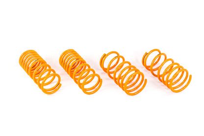 ARK 2013-2021 Subaru BRZ | Scion FR-S | Toyota 86 GT-F Lowering Springs