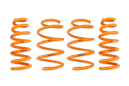 ARK 2022+ Genesis GV60 AWD GT-F Lowering Springs