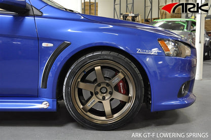 ARK 2008-2016 Mitsubishi EVO X GT-F Lowering Springs (Clearance item)